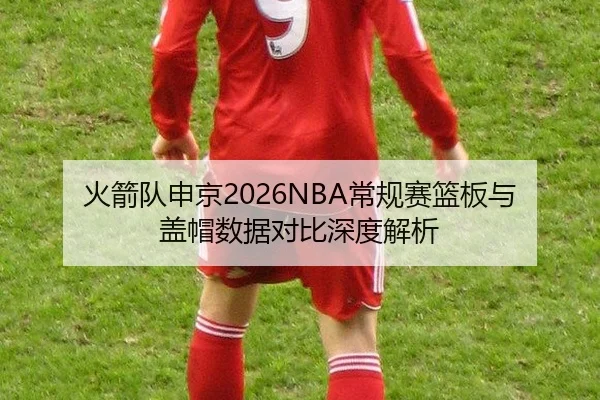 火箭队申京2026NBA常规赛篮板与盖帽数据对比深度解析